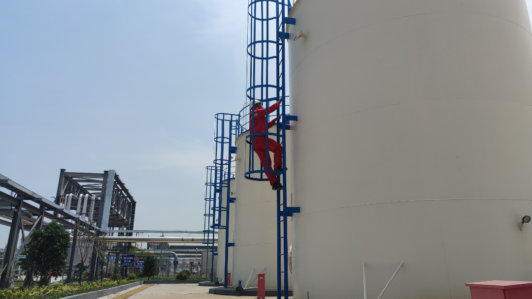 IMG_20220609_114707.jpg IMG_20220609_114707.jpg